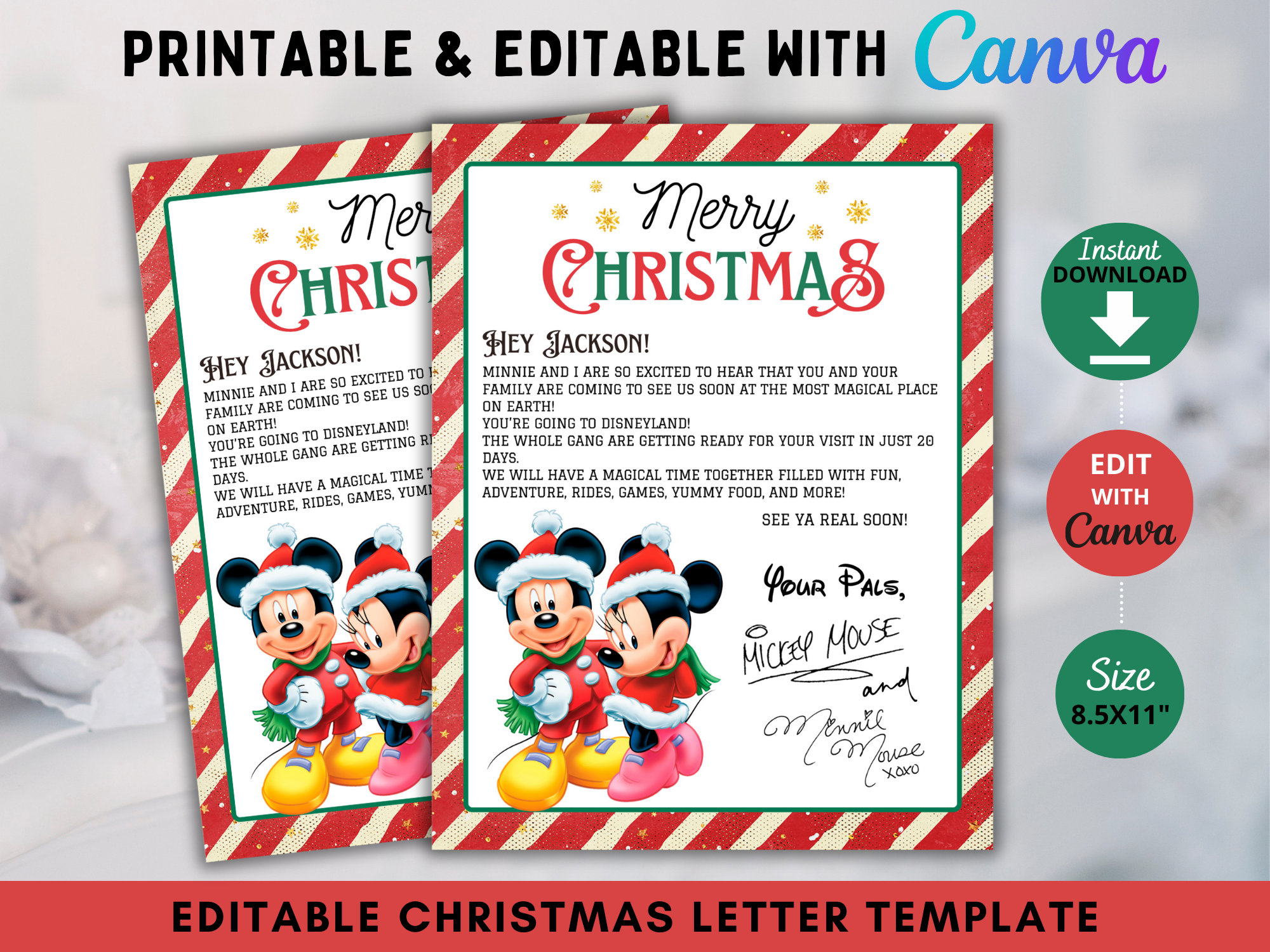 Editable Christmas Surprise Letter Template, Mouse World Surprise Letter, Surprise Vacation, Surprise Trip Flight Letter, Christmas Gift Kid