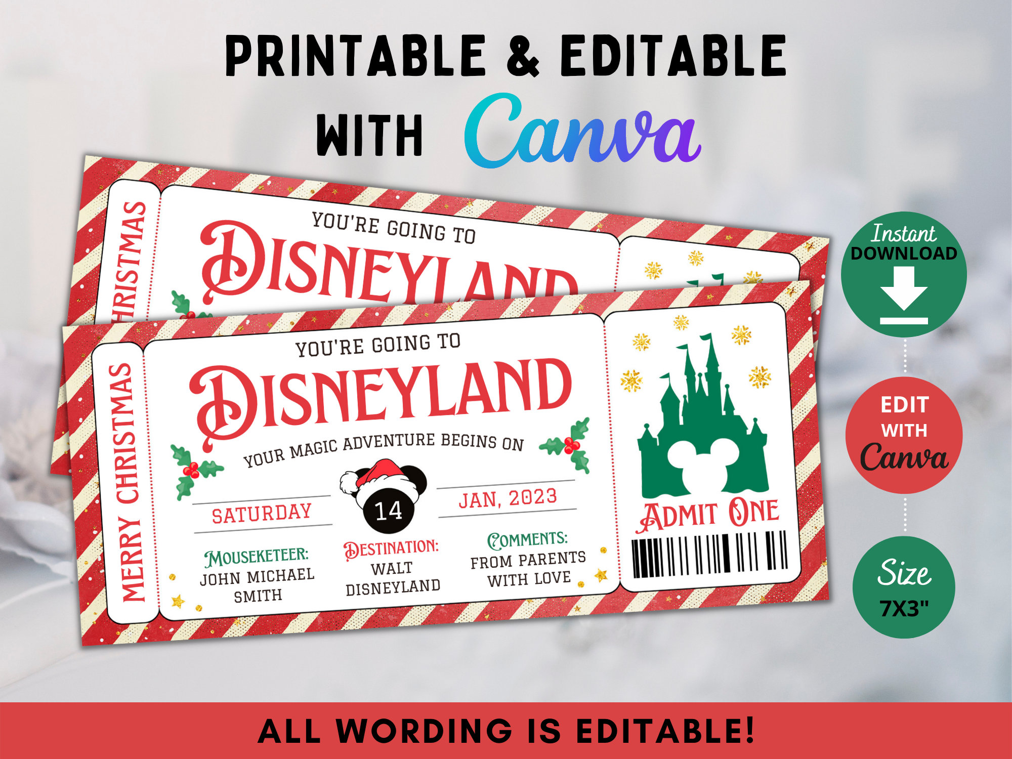 disneyland-ticket-pdf-etsy