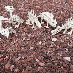 Flexi Factory Dinosaur Skeletons - Pick and Choose - Free Shipping