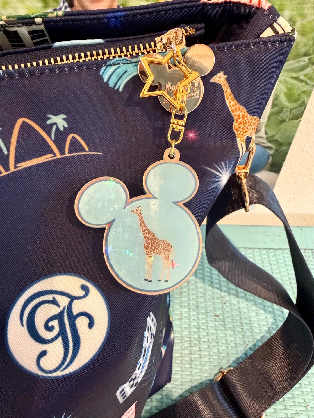 DVC Disney Vacation Club Inspired Keychain Bag Charm -- Animal Kingdom ...