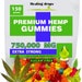 Premium Hemp Sugar-Free Gummies 750,000MG rich in Omega 3 6 9 Super Friendly Gummy Bears from hulled hemp seeds and cold pressed oil 