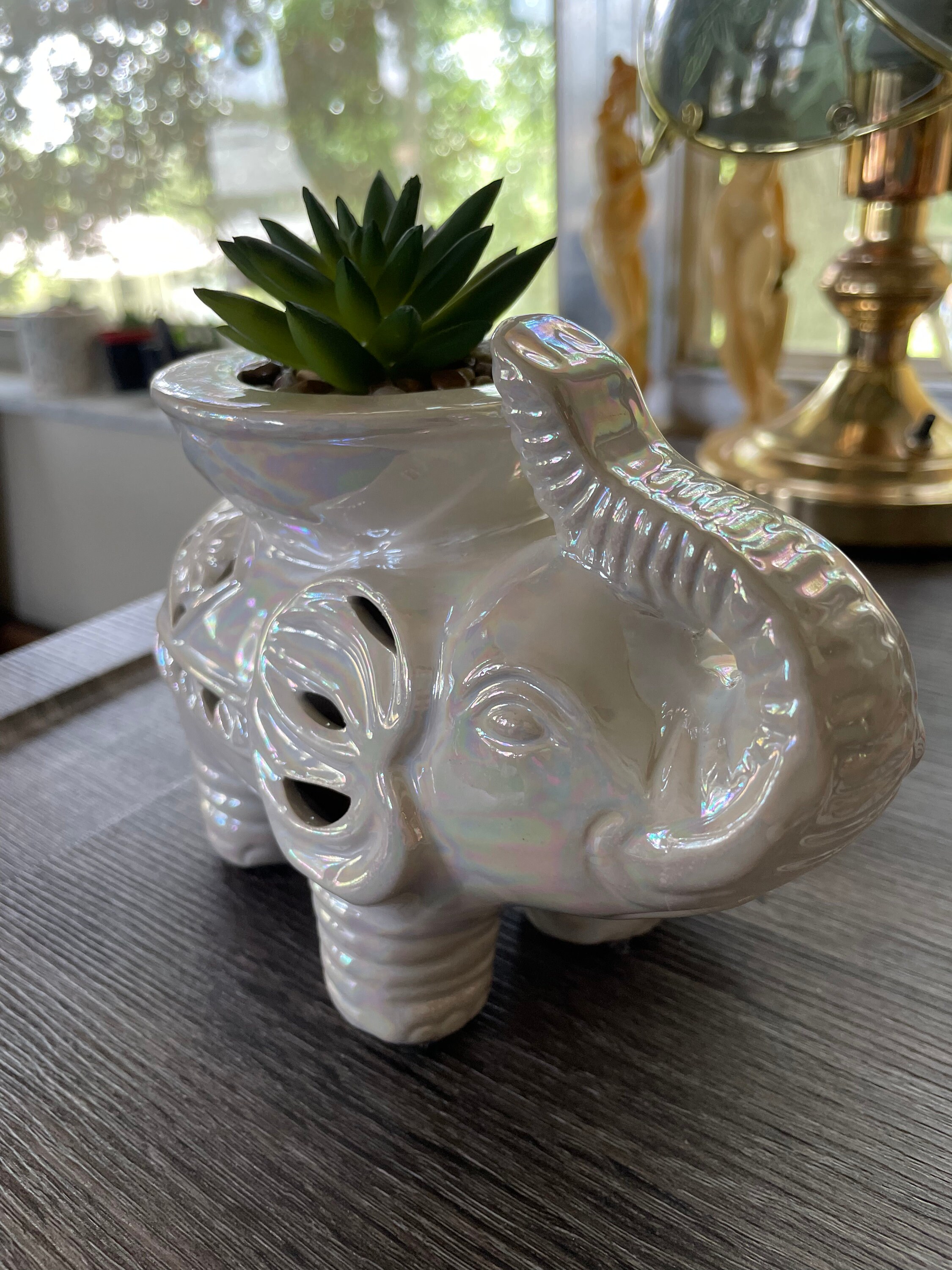 GC home decor Ceramic elephant potpourri holderfaux succulent | Etsy