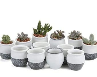 Set of 3 mystery 2.5 In Small Ceramic/succulent Planter Pots/Drainage Hole,planters, mini succulent pot,mini flower pot,cute succulent pots