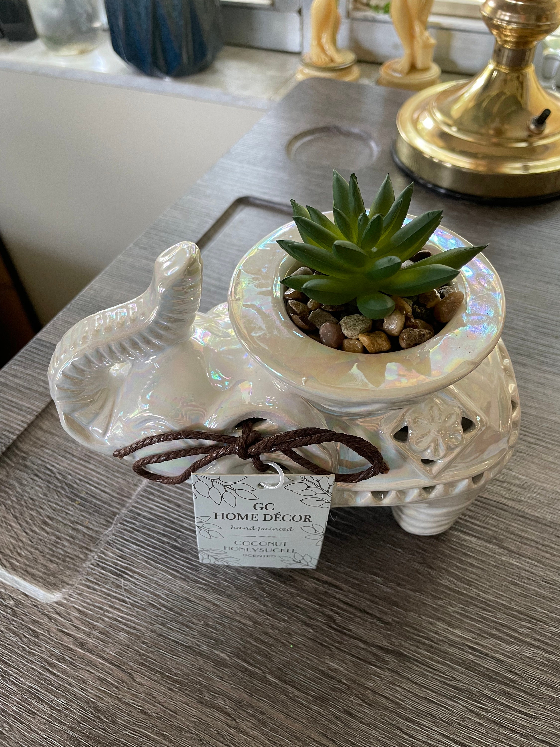 GC home decor Ceramic elephant potpourri holderfaux succulent Etsy