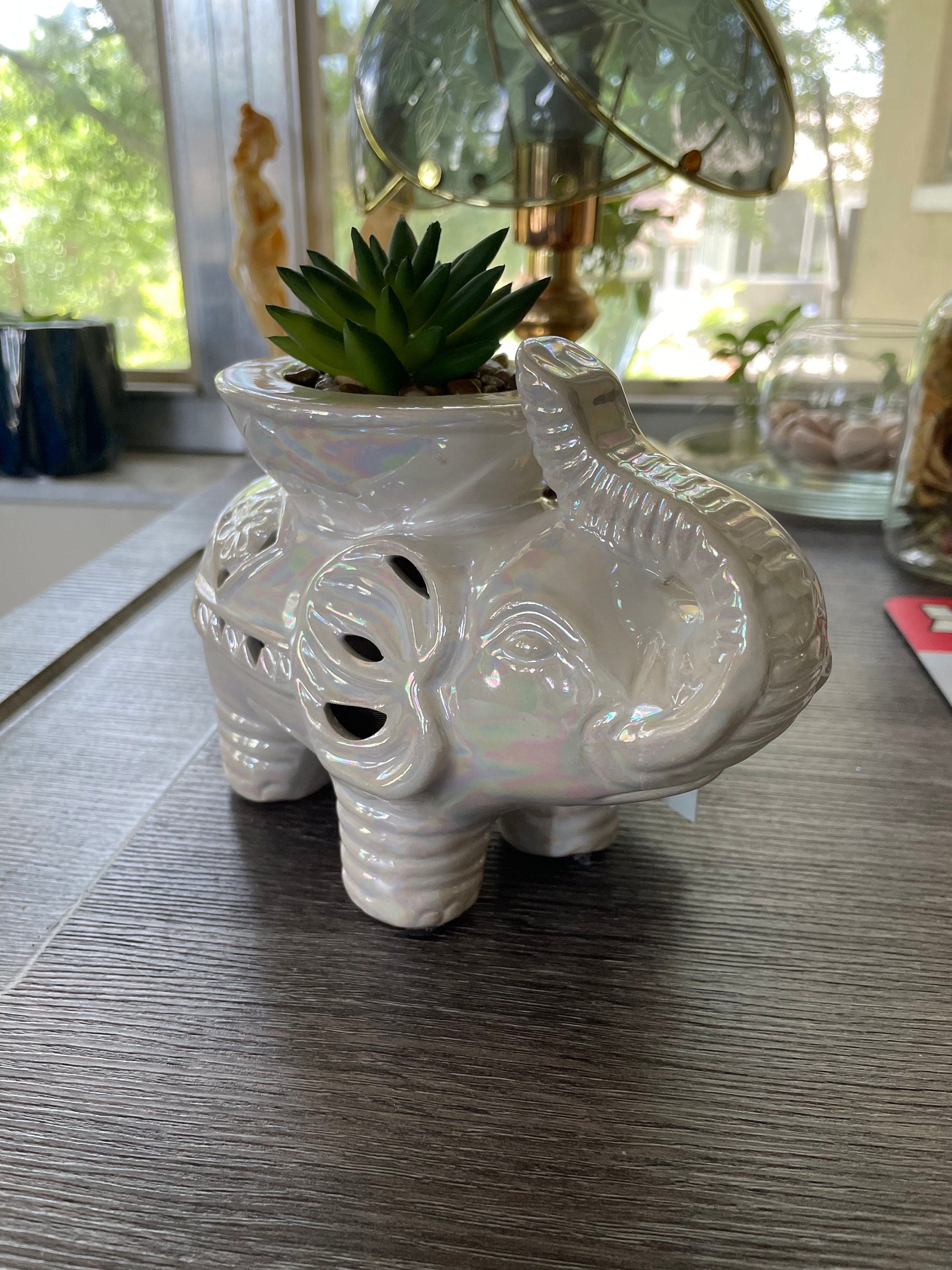 GC home decor Ceramic elephant potpourri holderfaux succulent Etsy