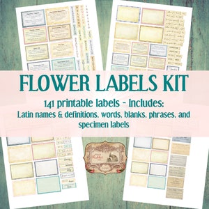 Flower Labels Kit - 141 printable labels, includes: Latin name & definition labels, words, blank labels, phrases, and specimen labels.