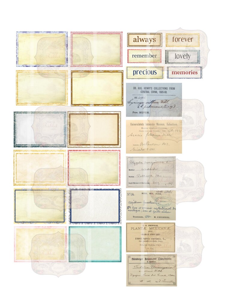 Flower Labels Kit 141 Printable Labels, Includes Latin Name