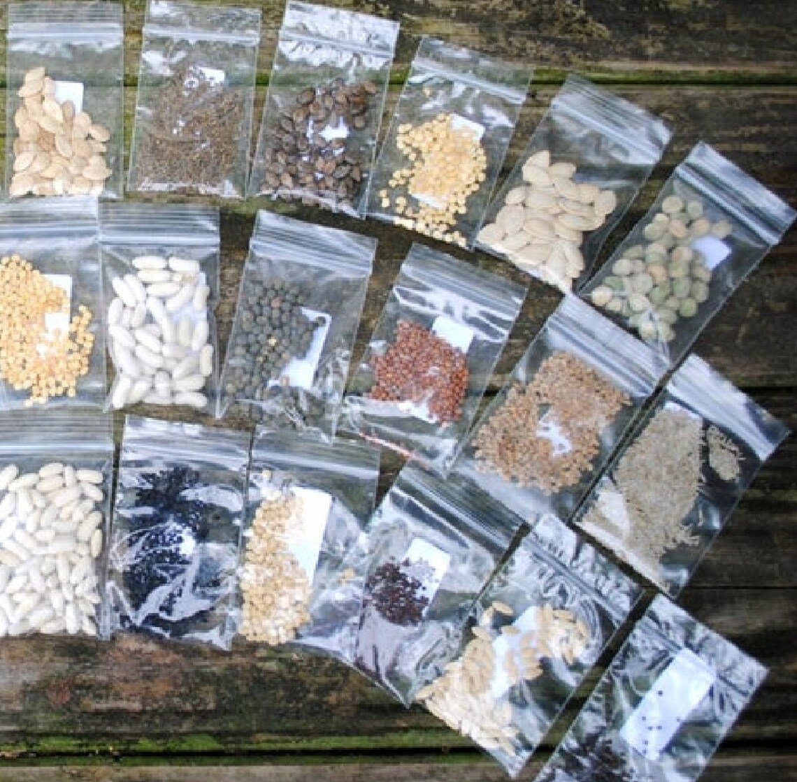 20pcs Vietnam Milk Melon Seeds Vegetables Fruit Seeds Bonsai Etsy