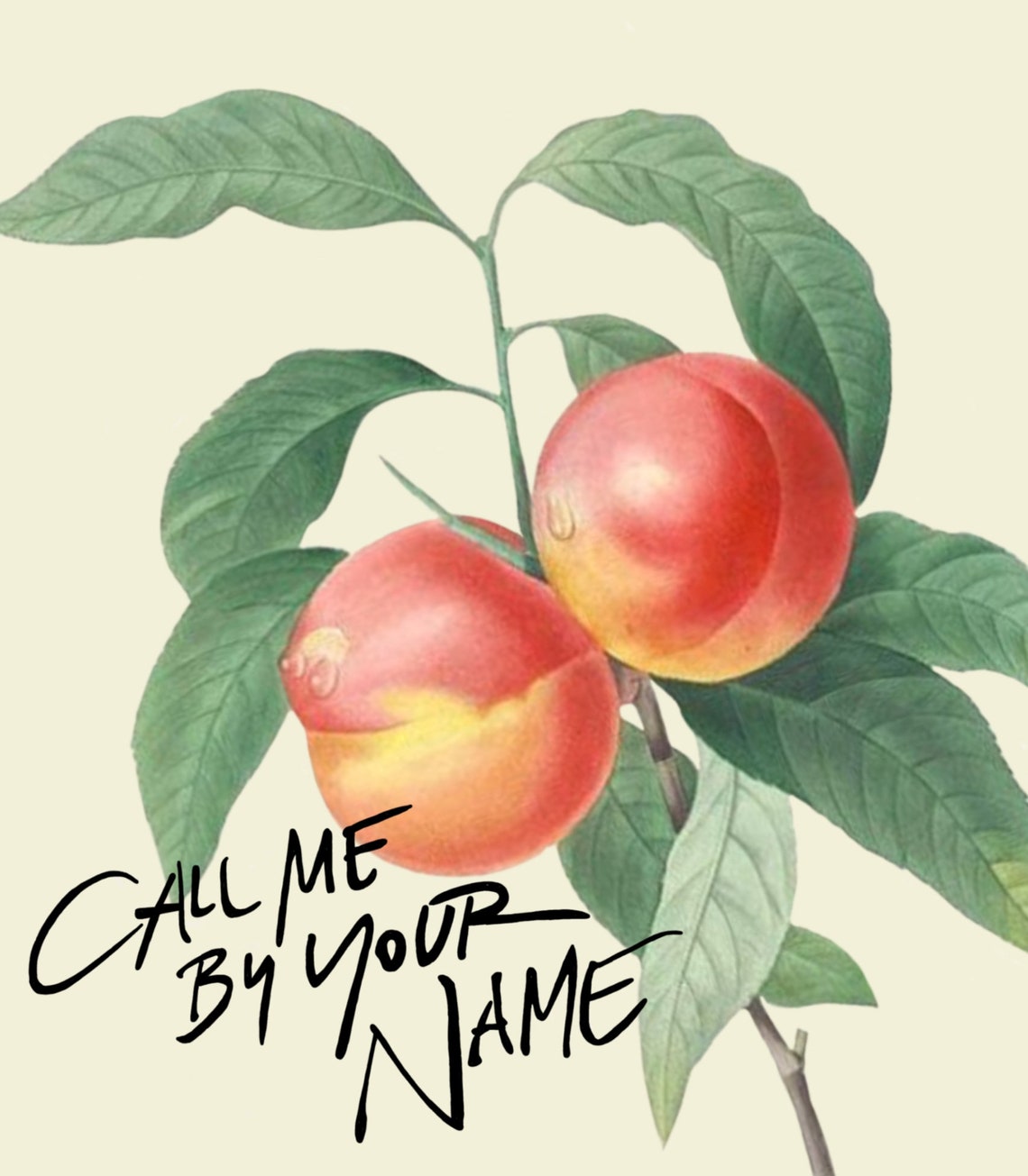 Call Me By Your Name Peach Digital Printable Poster Etsy
