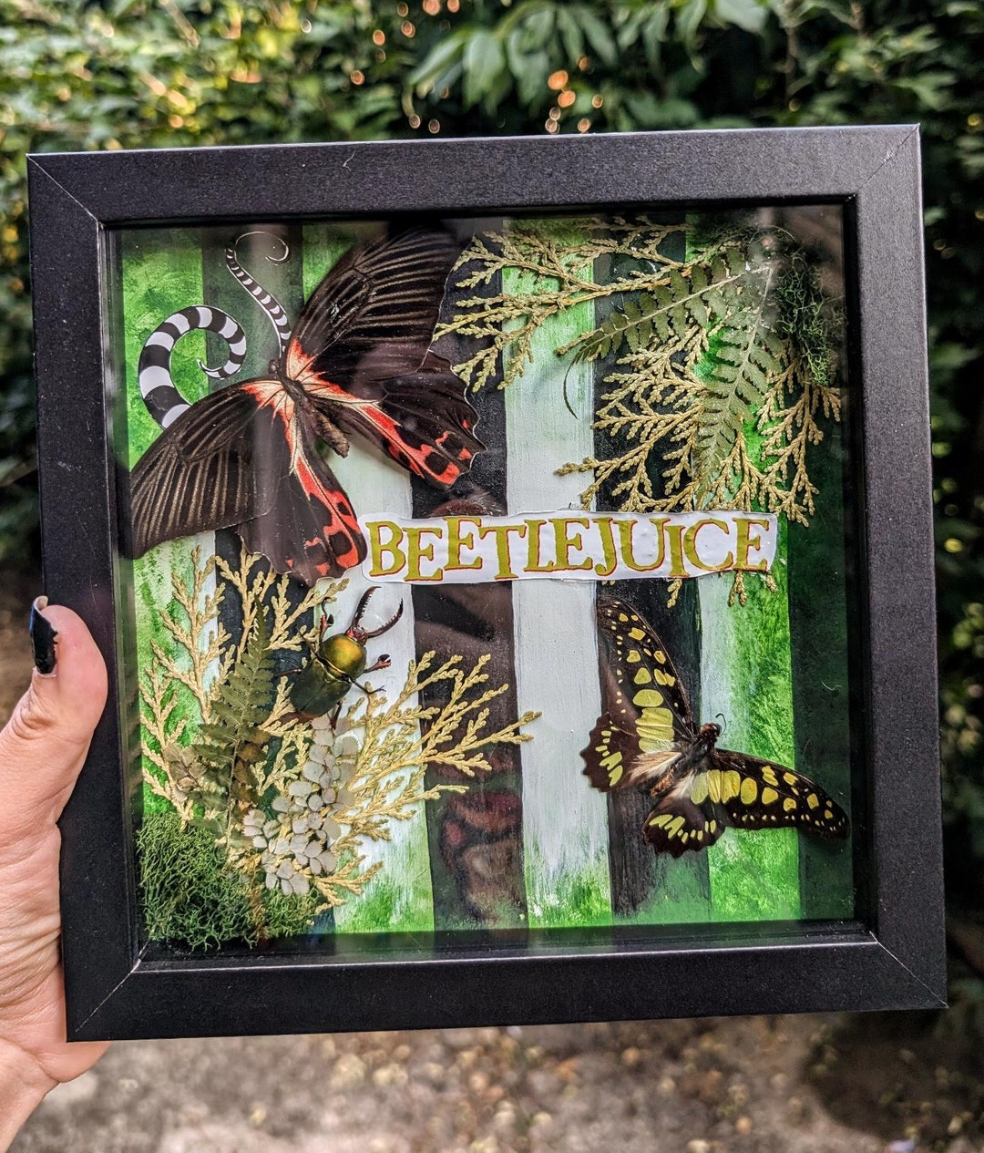 Beetlejuice Themed Shadowbox With Electric Green Swordtail Butterfly ...