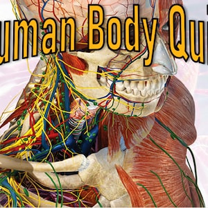 Body Themen Pub Quiz, Trivia Quiz, Virtual Screen-Share Präsentation, Allgemeines Wissen Fragen, Musik Runde, Bildrunde, Antwort-Blätter