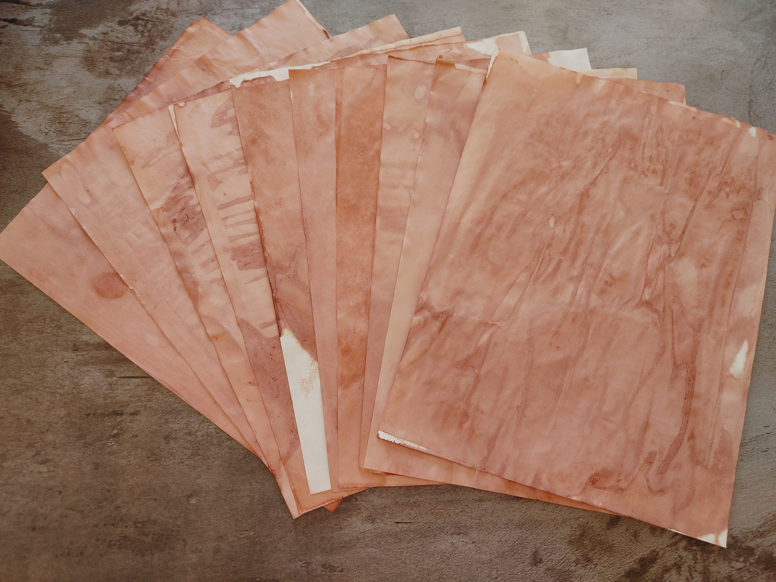 The avocado essay image