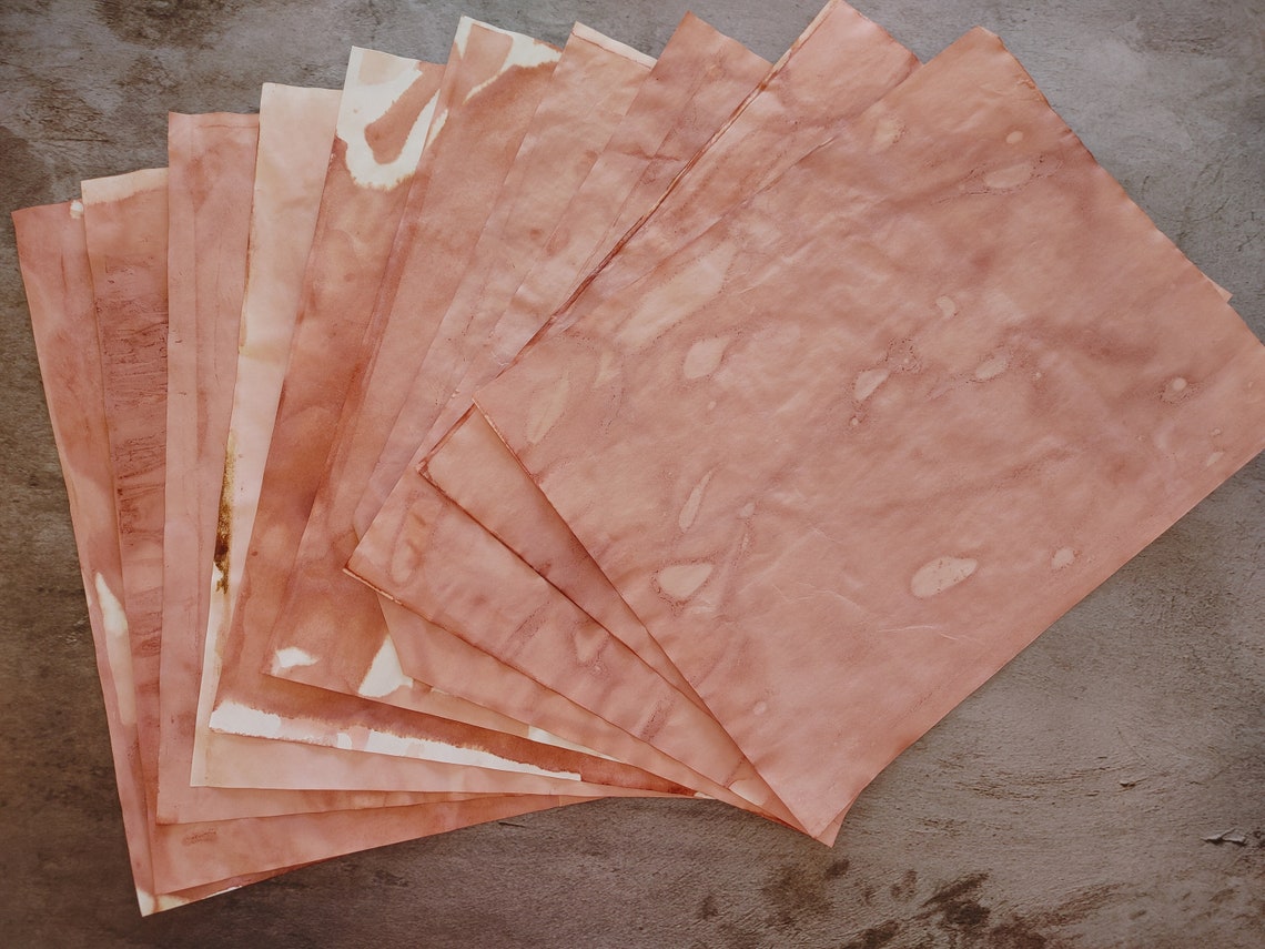 Paragraph about avocado image