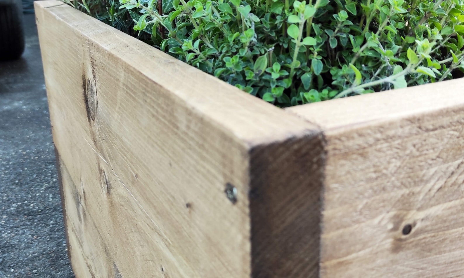 Double Height Scaffold Board Planter Box Etsy