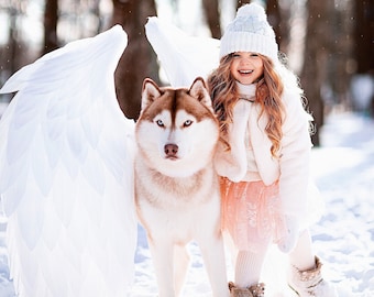 May include: A young girl wearing a white hat and coat smiles while holding a white feathered angel wing and a brown and white husky dog in a snowy forest.