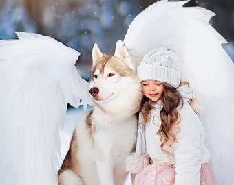 dog costume angel dog pet costumes cosplay  angel wings outfits fantasy pet costume