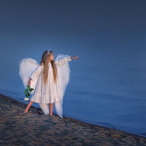 Angel wings costume cosplay white angel bird wings wings cosplay photo props birthday outfit girl