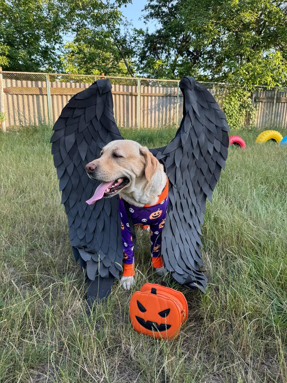 Black Dog Costume Etsy UK
