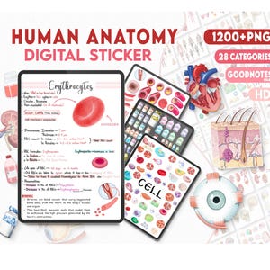 Anatomy & Biology - 1200 PNG HQ Physiology Bundle Sticker Pack, Human Body Digital Stickers, Medical Science, Nursing Study, iPad GoodNotes