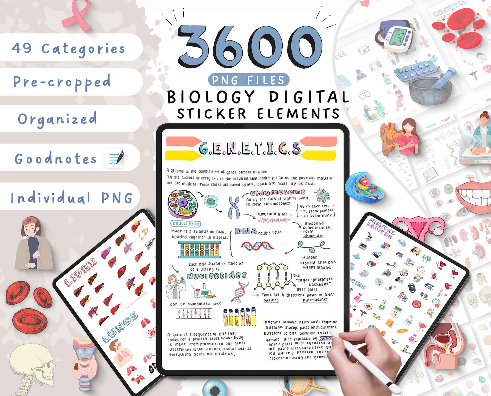3600 + Biology Digital Stickers, Biology & Anatomy Digital Stickers ...