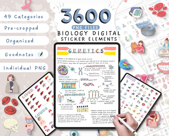 3600 + Biology Digital Stickers, Biology & Anatomy Digital Stickers, Goodnotes Stickers, Medical Stickers , Pre-cropped Human Body Stickers