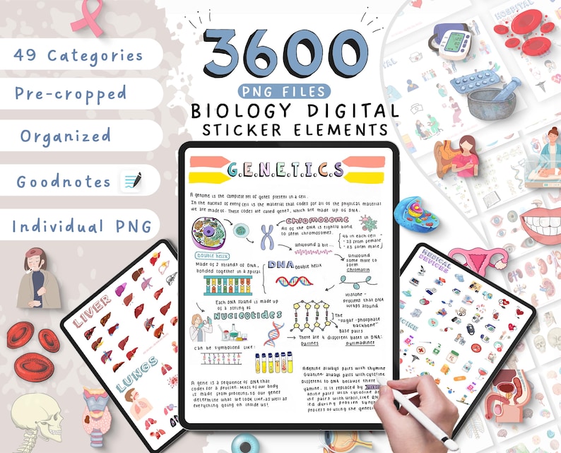 May include: Digital sticker elements for biology, featuring 3600 PNG files. The image includes notes on genetics, liver, lungs, and medical devices. The text includes "49 Categories", "Pre-cropped", "Organized", "Goodnotes", and "Individual PNG".