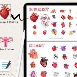 3100 + Biology Digital Stickers, Biology & Anatomy Digital Stickers, Goodnotes Stickers, Medical Stickers , Pre-cropped Human Body Stickers
