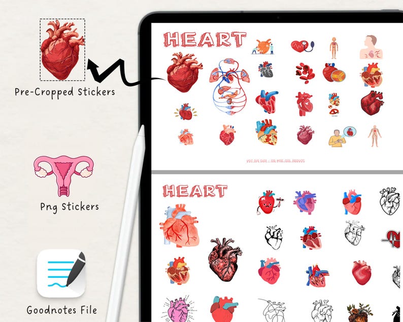 3100 + Biology Digital Stickers, Biology & Anatomy Digital Stickers, Goodnotes Stickers, Medical Stickers , Pre-cropped Human Body Stickers