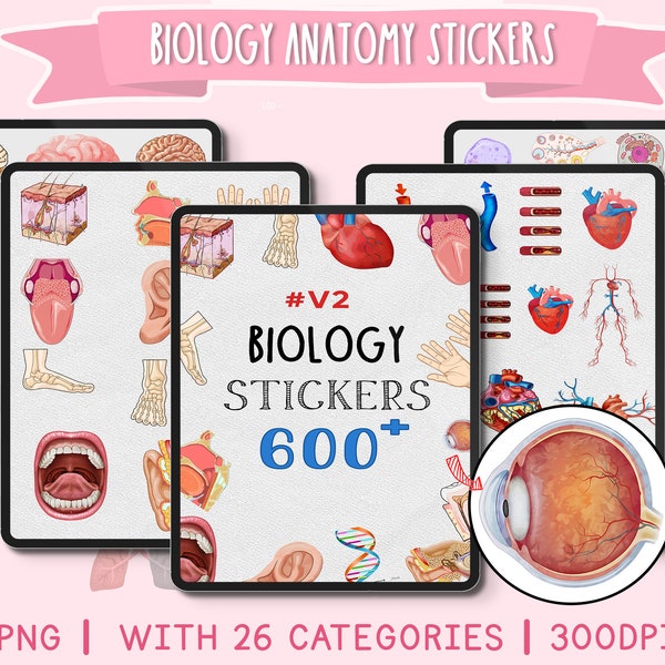 600+ Biologie-Anatomie-Aufkleber-Bündel, Labor, Anatomie-Orgel, digitale Aufkleber, GoodNotes-Aufkleber, MCAT-Lernaufkleber, Notizen, Planung,