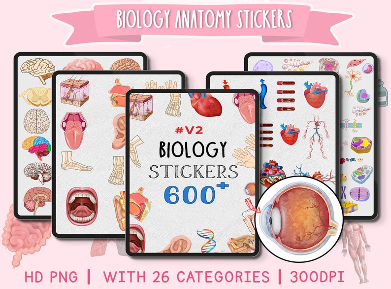 600 Biology Anatomy Stickers Bundle, Lab, Anatomy Organ, Digital