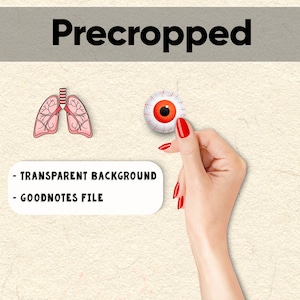 3100 + Biology Digital Stickers, Biology & Anatomy Digital Stickers, Goodnotes Stickers, Medical Stickers , Pre-cropped Human Body Stickers