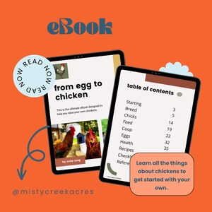 From Egg To Chicken eBook Download