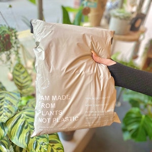 The Little Eco Company 'Made from Plants Not Plastic' Certified Biodegradable & Compostable Eco Postal Mailing Bags