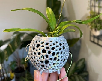 Kokedama with Legs Orchid Pot, Modern Decorative Orchid Pot with Drainage, Orchid Planter, Air Plant Pot, Pot for Live Orchid, Orchid Gift