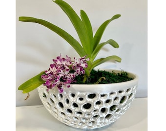 Bol décoratif en pot d'orchidées, bol en filet, pot de plante aérien, jardinière d'orchidées, pot d'orchidées en filet, cadeau pour elle, cadeau de fête des mères