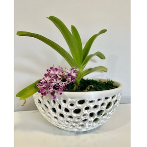 Bol décoratif en pot d'orchidées, bol en filet, pot de plante aérien, jardinière d'orchidées, pot d'orchidées en filet, cadeau pour elle, cadeau de fête des mères image 2