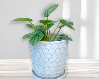 Honeycomb plant pot with water basin, plant pot drainage basin, draining pot, indoor plant pot, plant gift, stylish modern minimalist pot