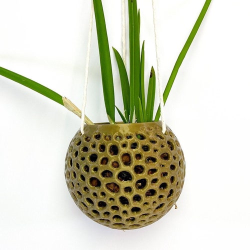 Hanging Orchid Pot Etsy