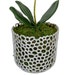 see more listings in the Orchid Pots section