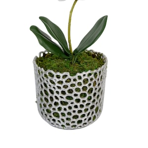 Orchid Pot with Drainage Holes Perfect Modern Basket Orchid Planter with Holes for Orchids and Air Plants Large Hanging Indoor Planter