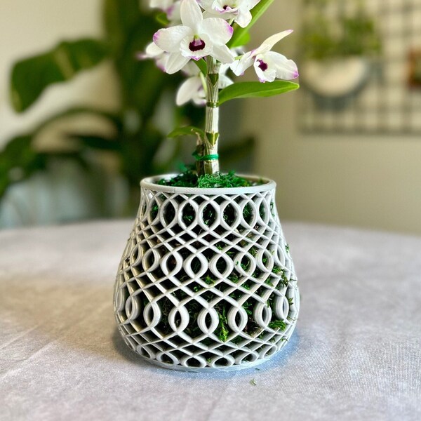 Pot d'orchidées à motifs avec trous de drainage, jardinière d'intérieur et d'extérieur, pour anniversaires, cadeau pour elle, fête des mères, printemps, cadeau de plante de jardin