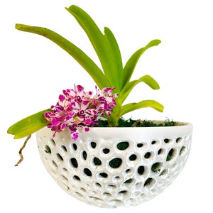 Bol décoratif en pot d'orchidées, bol en filet, pot de plante aérien, jardinière d'orchidées, pot d'orchidées en filet, cadeau pour elle, cadeau de fête des mères image 1