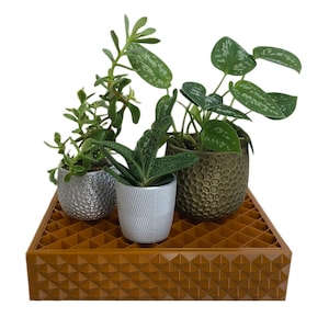 Humidity Tray for Plants, Plant Humidity Tray, Humidity Tray For Pots, Plant Humidifier for Indoor Plants, Square or Rectangle Humidity Tray