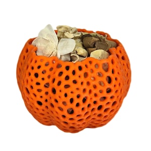 Puede incluir: Cuenco decorativo naranja con un diseño de encaje, lleno de flores secas y otros elementos naturales.