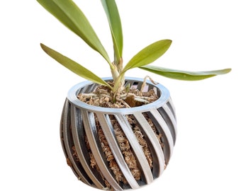 Swirl Orchid Pot, 3D printed orchid pot, modern orchid planter decor, phalaenopsis orchid, pot to keep an orchid alive, cattleya orchid pot