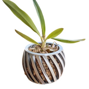 Swirl Orchid Pot, 3D printed orchid pot, modern orchid planter decor, phalaenopsis orchid, pot to keep an orchid alive, cattleya orchid pot