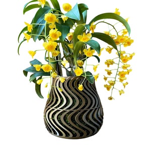 Groovy Orchid Pot with drainage, 3D printed orchid pot, modern stylish trendy orchid pot, keep an orchid alive, dendrobium phalaenopsis pots