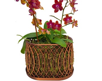 Orchid Arc Pot, Multiorchid Pot, Multiorchid Planter, Orchid Pot with Drainage, Modern Stylish Decor Pot, 3D Printed Lightweight Orchid Pot