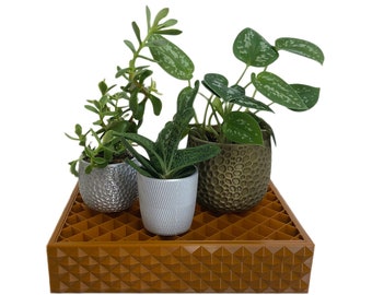 Humidity Tray for Plants, Plant Humidity Tray, Humidity Tray For Pots, Plant Humidifier for Indoor Plants, Square or Rectangle Humidity Tray