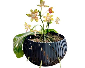 Orchid Geometric Lines Bowl, Multi Orchid Pot Planter, Modern Stylish Minimalist Orchid Pot, Orchid Pot with Drainage, Orchid Centerpiece